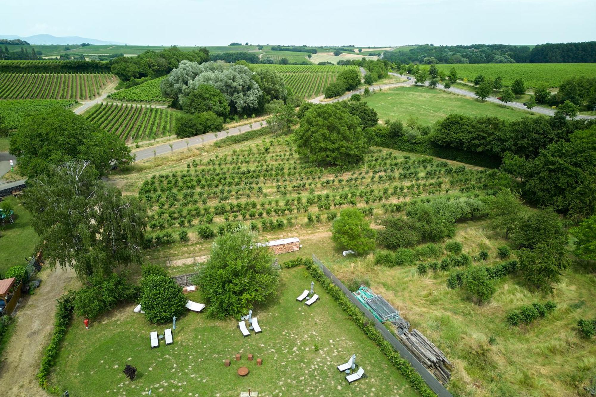 Weinhotel Fritz Walter Hotel 3*